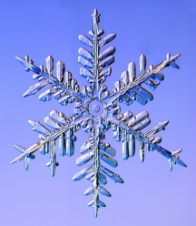 http://www.rofl.com.ua/images/2008/close_up_photos_of_snowflakes_33.jpg
